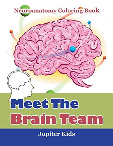 Meet the brain team - meet,
